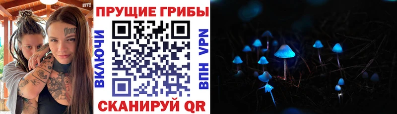 Псилоцибиновые грибы Cubensis  Малаховка 